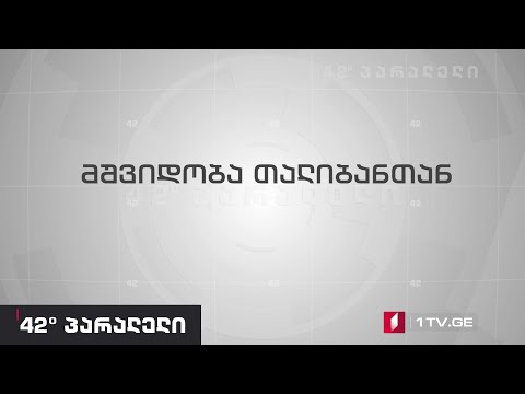 42° პარალელი -ავღანური სამშვიდობო მოლაპარაკება